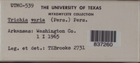Image Associated With the Occurence